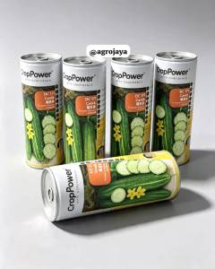 CUCUMBER DC171 CANTIK F1 HYBRID 100GM SEEDS CROP POWER