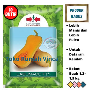 Benih Bibit Biji LABU MADU F1 10 butir Cap Panah Merah butternut Pumpkin
