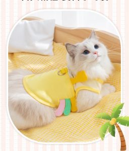 bộ sưu tập áo summer cutie dành cho chó mèo - T3 PETS SHOP