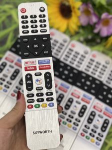 Remote điều khiển tivi GIỌNG NÓI SKYWORTH +COOCA+ASANZO