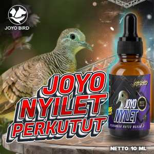 OBAT BURUNG NYILET | OBAT BURUNG KURUS | PENAMBAH NAFSU MAKAN KHUSUS PERKUTUT | NYILET PERKUTUT