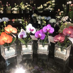 แจกันกล้วยไม้ประดิษฐ์ขนาดเล็ก ดอกไม้ปลอมพร้อมแจกัน