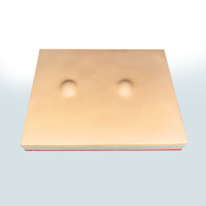 PANCKOO Stimulating Eruptional Training Pad for Sebum Excretion Mucinils - Realistic Medical Practice Model with White Labeled Mucinils and Red Accents Ideal for Science Education and Patient Education Science Education Tool|Realistic Medical Practice|D