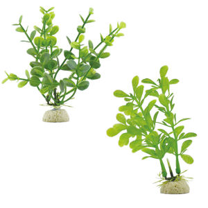 Cây Cỏ Nhựa Thủy Sinh Mini Cây Nhựa Cỡ Nhỏ Trang Trí Bể Cá Nhiều Mẫu Giao Ngẫu Nhiên