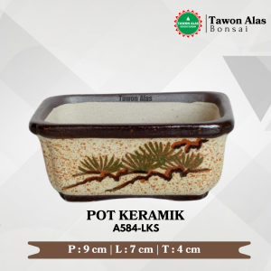 Pot Bonsai Keramik Mini