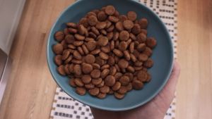 Hills Science Diet - Light Small Bites Lower Calories Chicken Meal & Barley Dry Dog Food 5 LB Bag