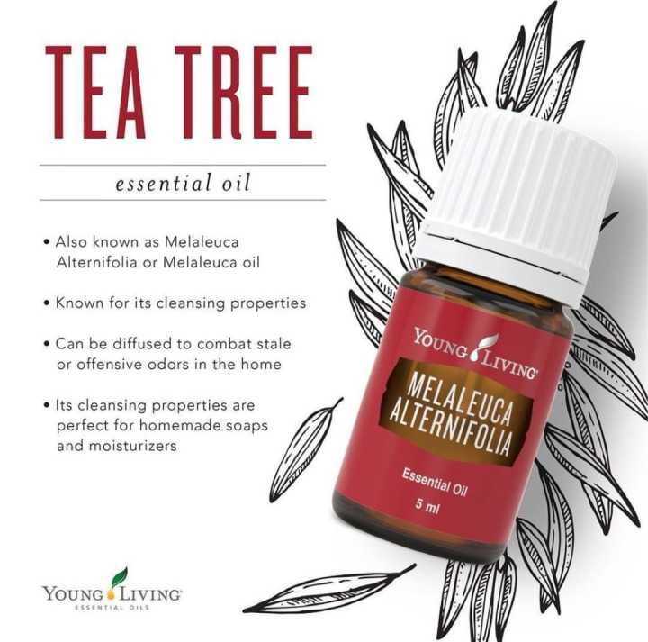 100 Original YL Melaleuca Alternifolia (Tea Tree) Essential Oil 15ml