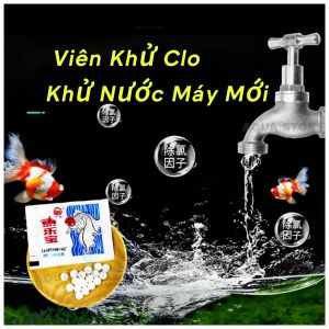 Viên Khử Clo- Khử Nước Máy Mới- Khử Clo Nước Mới Cho Bể Cá