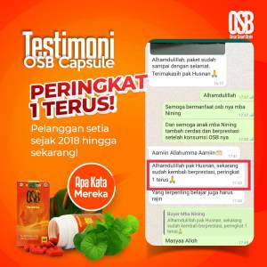 OSB Omar Smart Brain Vitamin Otak Kecerdasan Anak Dan Dewasa 60 Kapsul 400 mg
