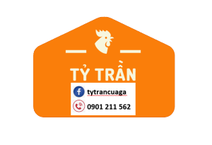 CỰA GÀ NÒI - ĐỦ SIZE