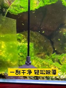 AP AIMAYAPET Fish Tank Algae Scraper Cleaning Tool Aquarium Long Handle Blind Corner Blade Brush Set Penghilang Lumut