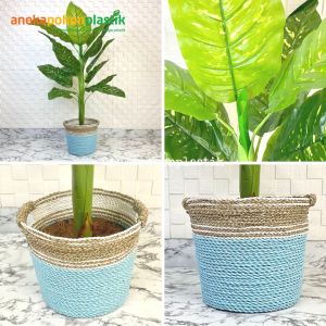 Pohon Artificial Tanaman Imitasi Sri Rejeki Latex Pot Dasar Cover Anyaman Seagrass Handle Dekorasi Ruangan
