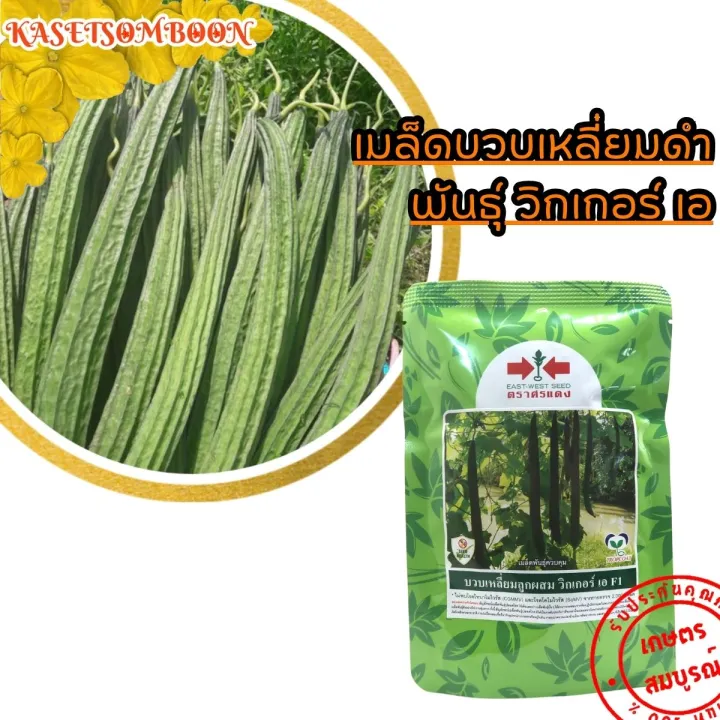 เมล็ดพันธุ์บวบเหลี่ยม วิกเกอร์เอ ตราศรแดง ทนทานโรคไวรัส