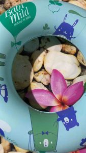 Phao bơi cho bé 49cm