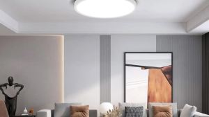 Dimmable Ceiling Light 3color LED Bedroom Lamp with Remote Contro Kitchen Living Room Decor Lighting