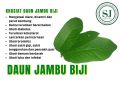 DAUN JAMBU BIJI SEGAR 10 Daun. 