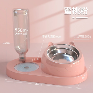 Double Dog Cat Bowls Pets Water and Food Bowl Set with Automatic Waterer Bottle for Small or Medium