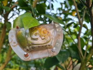 Khuôn Tạo Hình Thỏi Vàng 2 Mặt Tài Lộc Cho Các Loại Dưa Bưởi Ổi Từ 200g - 2kg4 kèm ốc vít và hdsd