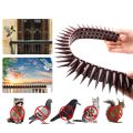 Alat duri pengusir kucing Anjing / Paku anti kucing Plastik Anti Kucing paku Anti burung Merpati Wall Spike Anti-Climbing Spike Wall Anti Maling Panjat Tembok Pagar Kawat Duri Garden Pest Repeller Pigeon Cat Deterrent Garden Security Deterrent Tool. 
