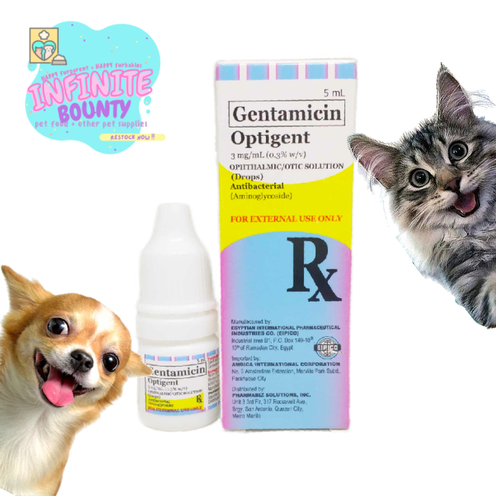 Tobramycin eye drops for 2024 cats