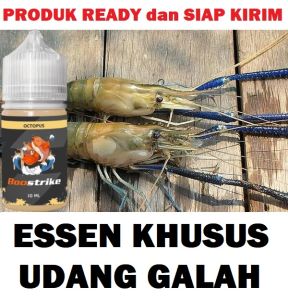 ESSEN KHUSUS MANCING UDANG GALAH PALING JITU ISI 30ML | BOOSTRIKE OCTOPUS