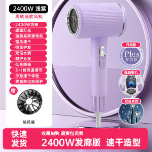 AE High-speed hair dryer high-power foldable household hair dryer strong airflow hotel hammer hair dryer
