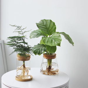 Nordic Minimalist Hydroponic Vase Automatic Water Absorption Plant Pot Plastic Propagation Pot Office Home Decoration