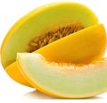 Benih Melon F1 GOLDEN LANGKAWI 5 BIJI Known You Seed. 