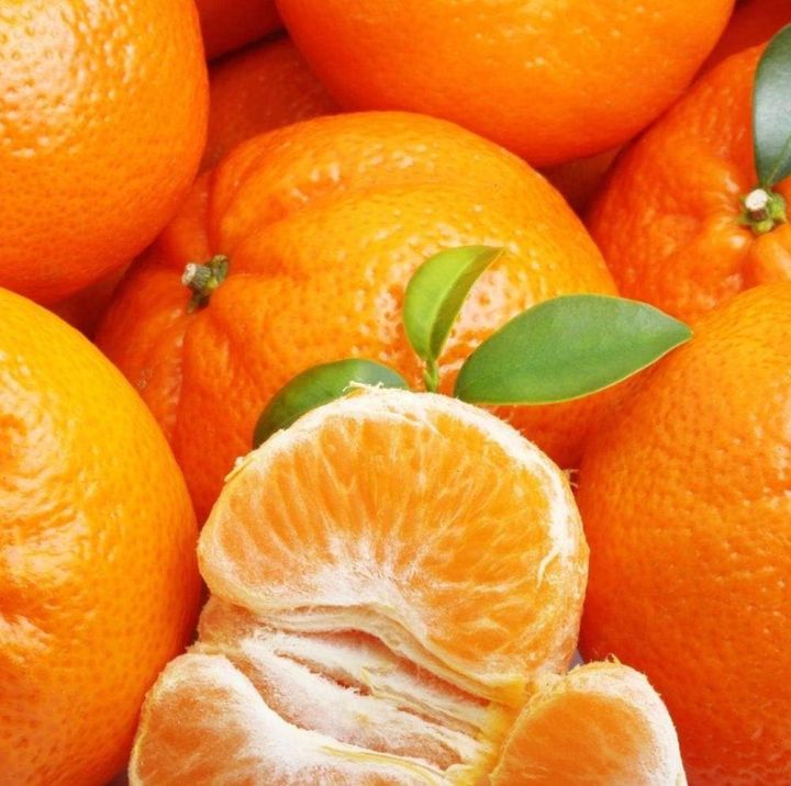 Mandarin Orange Tree ( Citrus reticulata ) Seeds Outdoors Fruit Pot ...