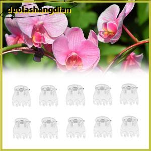 [Duola] 50Pcs Transparent 6 Claws Orchid Clips Plastic Butterfly Flowers Support Clear Fixer For Garden Vine Stem Plants Climbing