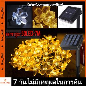 ไฟตกแต่งโซล่าเซลล์ สาย ไฟดอกซากุระ  LED 50ดวง 10เมตร 8 โหมดการใช้งาน solar ไฟโซล่าเซลล์ ไฟพลังงานแสงอาทิตย์ ไฟกระพริบ（ร้านกรุงเทพส่งของ24ชม）