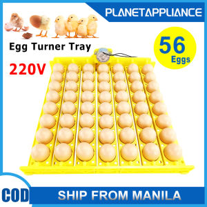 Automatic Turner Egg Tray Capacity 56 Duck Chicken Eggs Incubator Trays with Auto Turn Motor 220V