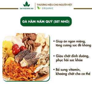 Trà lợi sữa mát sữa cho mẹ và bé set 10 gói - Chợ thảo dược việt