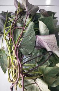 Murah 1 kg Daun Ubi Segar / 500 gram Daun Umbi Jalar Segar Pelengkap Sayuran dan Lalaban Premium