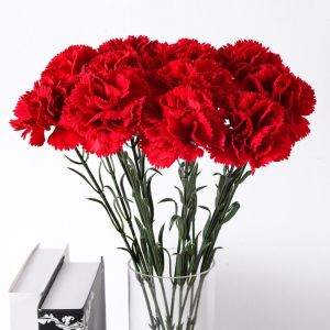 GIGBM Real Touch Artificial Red Carnations 54cm DIY Craft Simulation Carnation Flower Party Supplies Realistic Fake Plants Wedding