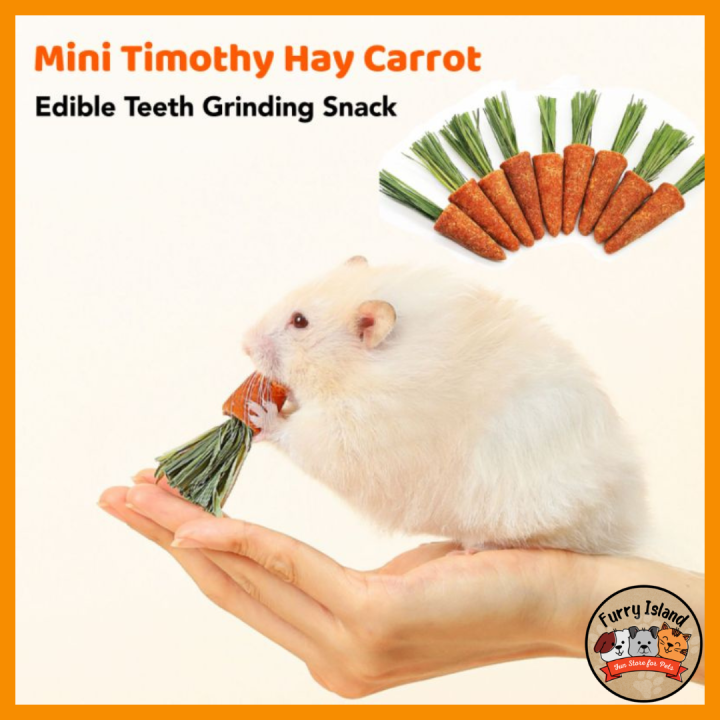 Fhiny Rabbit Chew Toys, 24 PCS Natural Hamster Molar Snacks Handmade