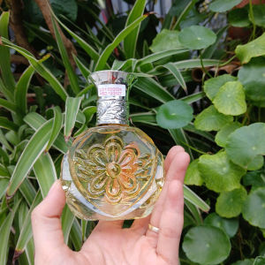 Nước Hoa Nữ Vipa 16 Hương Phấn Nhẹ Dịu Không Nồng Lưu Hương Tốt 45ML