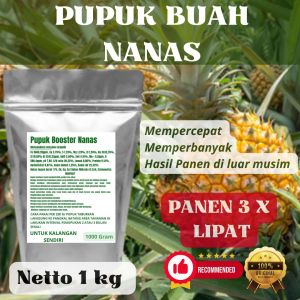 Pupuk Booster Nanas Pelebat Organik Cepat Berbuah Lebat Besar Anti Rontok Pembesar Nanas