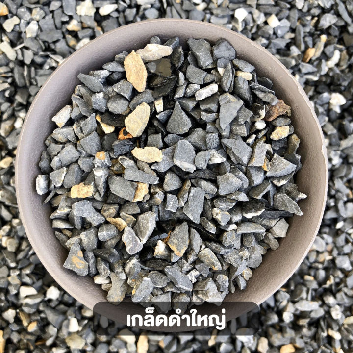 หินเกล็ดดำเบอร์ใหญ่ 250 กรัม สำหรับโรยหน้ากระถางต้นไม้