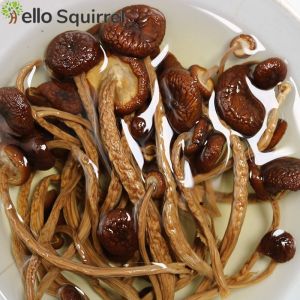 Tea tree mushroom dry goods fresh mushroom farmhouse-grown mushroom 250g/500g