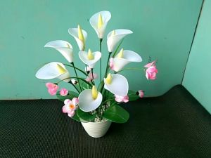BUNGA CALLA LILY