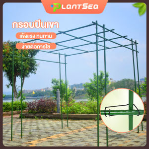 เสาไม้เลื้อย กระกางต้นไม้ ไม้ค้ำต้นไม้ DIY  สูง 210 ซม. หนา16มม.  เหล็กเคลือบพลาส โครงปลูกผัก   ซูมไม้เลื้อย  ไม้ค้ำยันต้นไม้ ค้างต้นไม้ ค้า