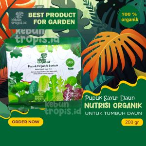 Pupuk Sayur Daun Booster Nutrisi Sayuran Hidroponik Turbo pupuk Penyubur Sayur Kol Sawi Pakcoy Sawi Bayam Sayuran Daun Hijau Pupuk Pelebat Sayuran Daun Super Hijau Pupuk Semprot Penyubur Daun 200 gr Tabur Sayuran Organik
