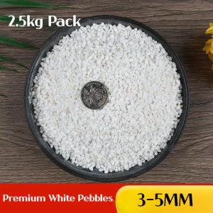 2.5KG Premium White Natural River Rock White Stones White Pebble For Indoor/Outdoor Gardening Decors