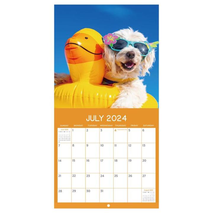 Dog Calendar 2024 Fun Dogs Wall Calender 2024 Wall Calendar Cute