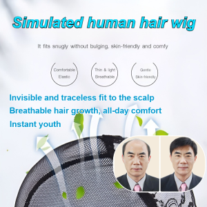 🔥Hot sale🔥Middle-aged and elderly mens wigs natural realistic wigs business mens short hair simulation hair full head cover
