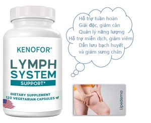 Thực phẩm KENOFOR LYMPH SYSTEM SUPPORT 30 VEGETARIAN CAPSULES hỗ trợ làm sạch giải độc hệ bạch huyết của Mỹ