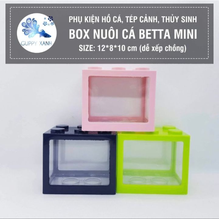 Hồ cá Mini kiểu dán lắp ghép độc đáo | Lazada.vn