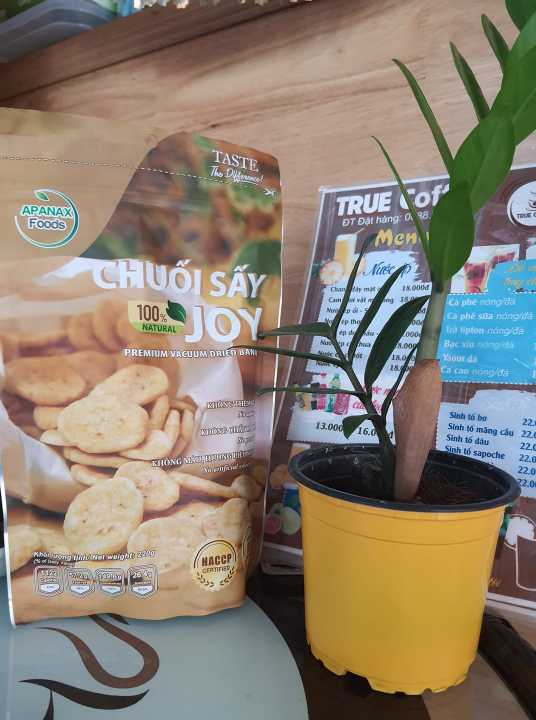 %5BHCM%5DChu%E1%BB%91i%20s%E1%BA%A5y%20JOY%20-%20Image%204