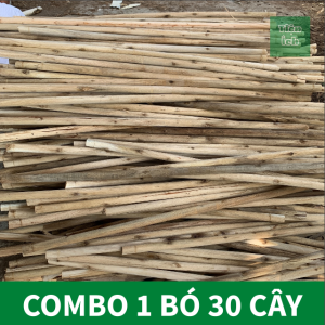 Combo Thanh Gỗ Tròn Lõi Gỗ Keo Bóc Dài 120cm Đường Kính 28cm đến 3cm Làm Cán Chổi Vòng Hoa Viếng Ghép Dàn Cây Leo